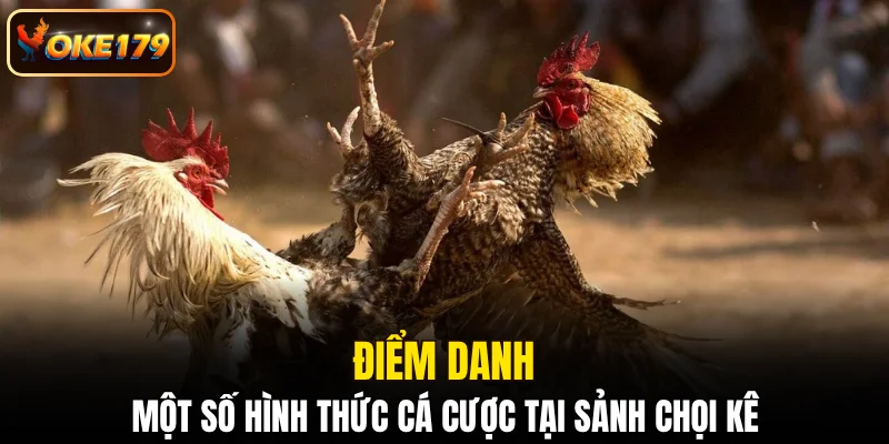 Điểm danh một số hình thức cá cược tại sảnh chọi kê