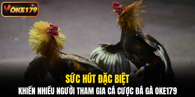 Sức hút đặc biệt khiến nhiều người tham gia cá cược đá gà OKE179