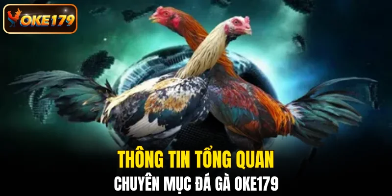 Thông tin tổng quan chuyên mục đá gà OKE179