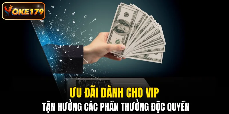 Ưu đãi dành cho VIP tận hưởng các phần thưởng độc quyền